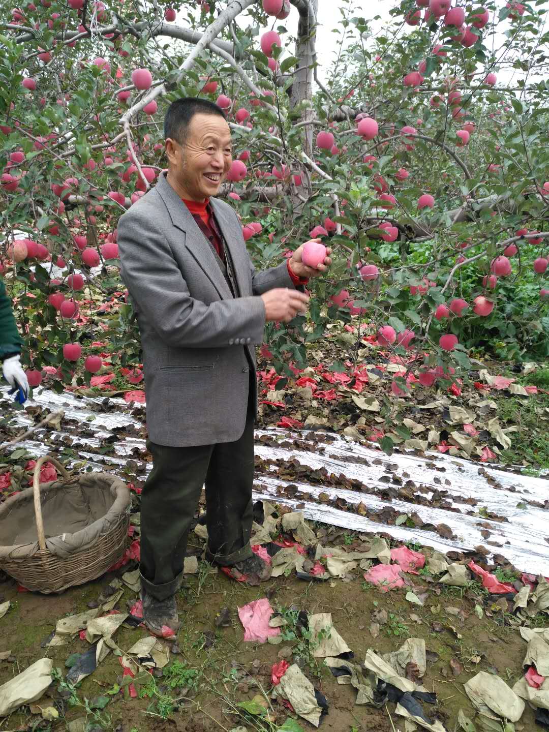 004，向海全，北道德乡武庄子村，面积3亩，套袋3万袋，北道德乡产量9362斤.jpg