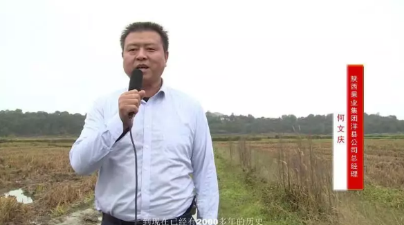 1575622663688390.png QQ浏览器截图20191206165605.png